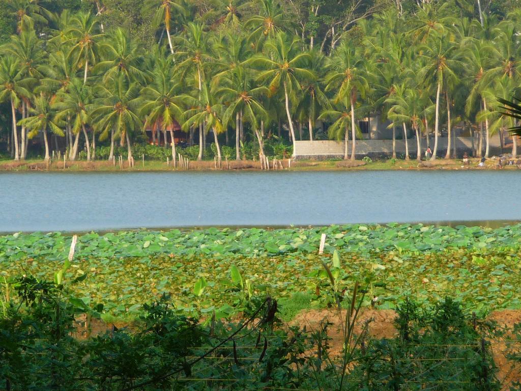 Ganesh Ayurveda Holiday Home Apartment Kovalam Ngoại thất bức ảnh