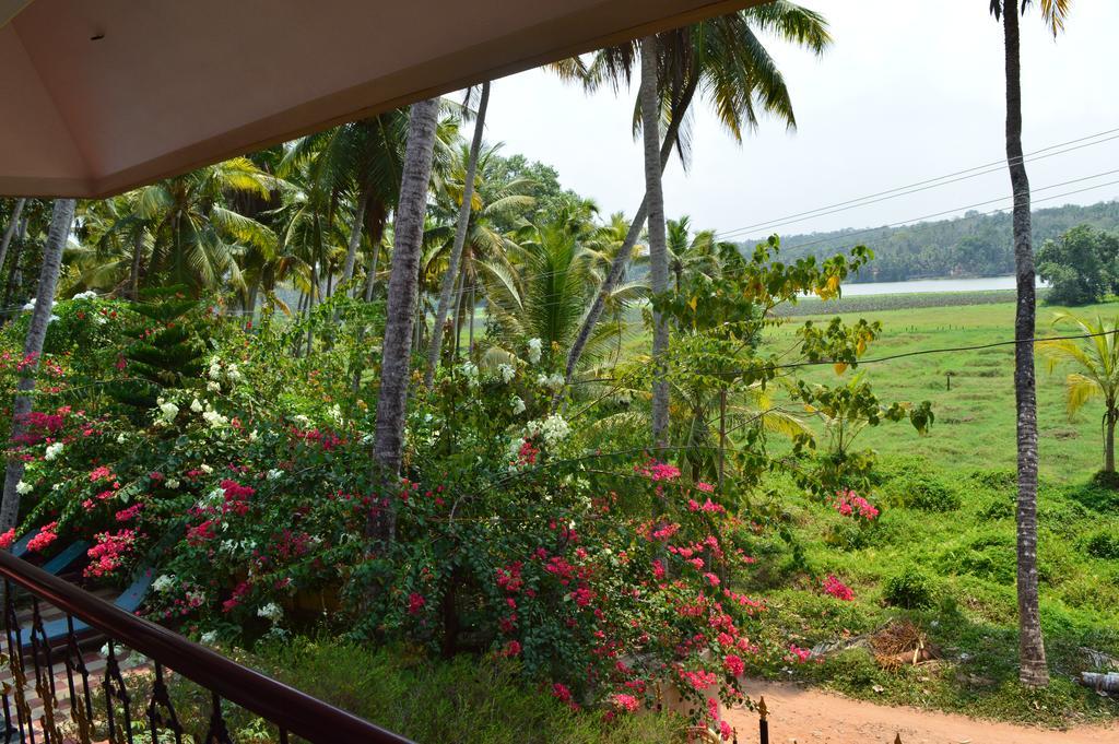 Ganesh Ayurveda Holiday Home Apartment Kovalam Ngoại thất bức ảnh